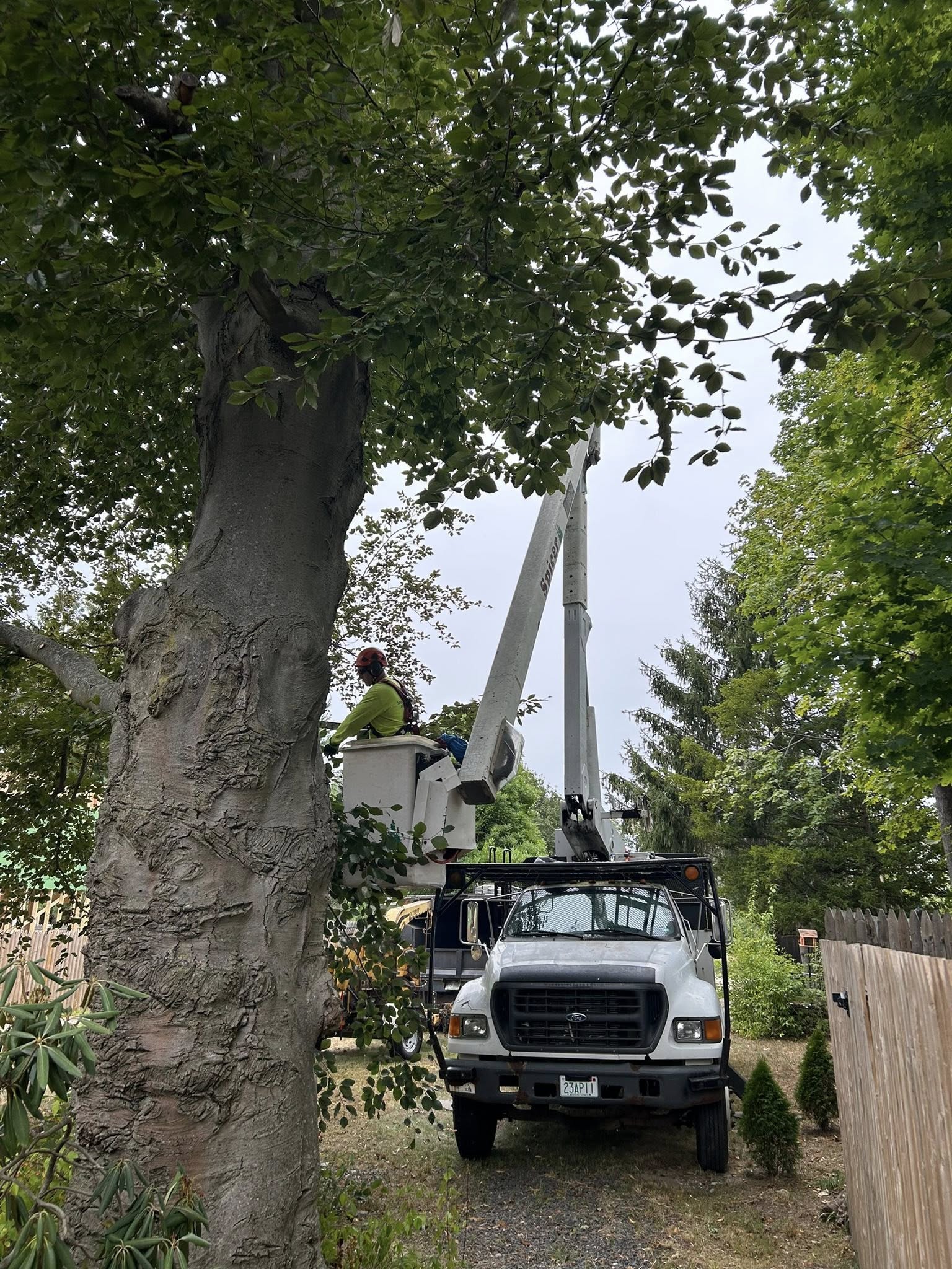 Soul Tree Care arborist in bucket truck performing tree work in Berwick, ME