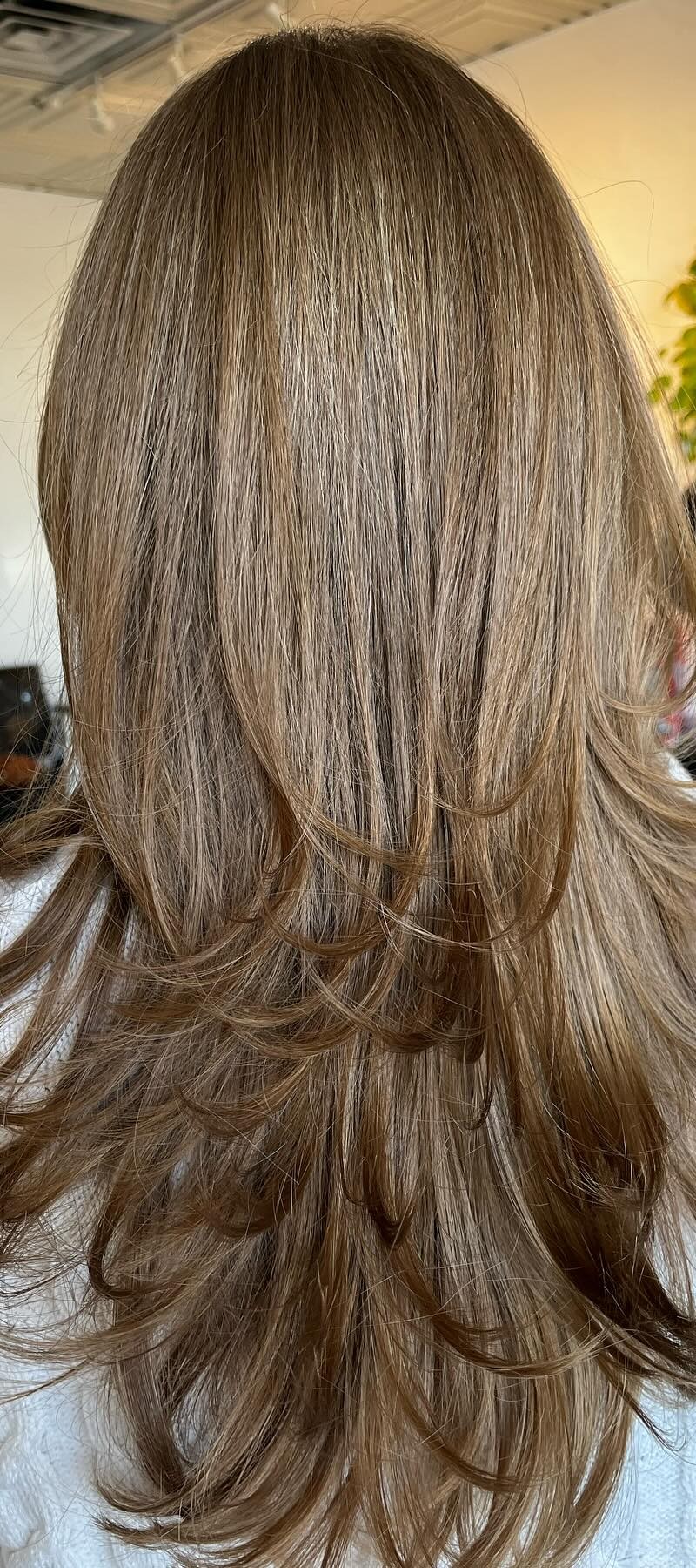 Back view of layered light brown butterfly haircut