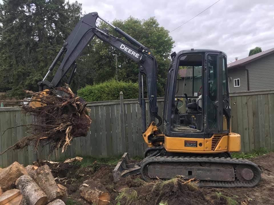 Stump Removal