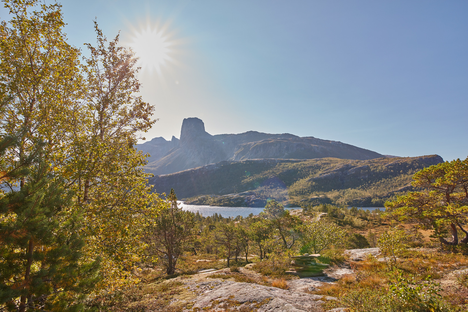 Høyt & Lavt Klatrepark