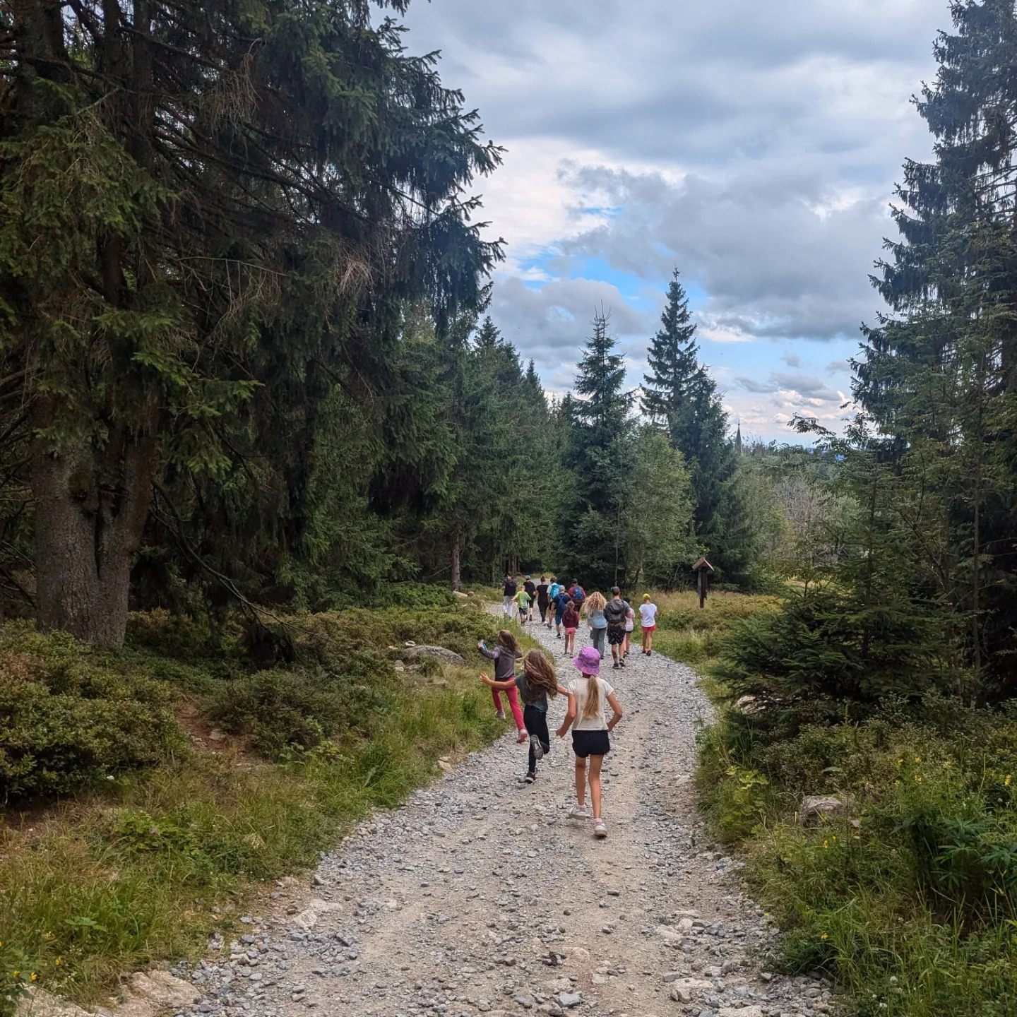 Hiking in the forest