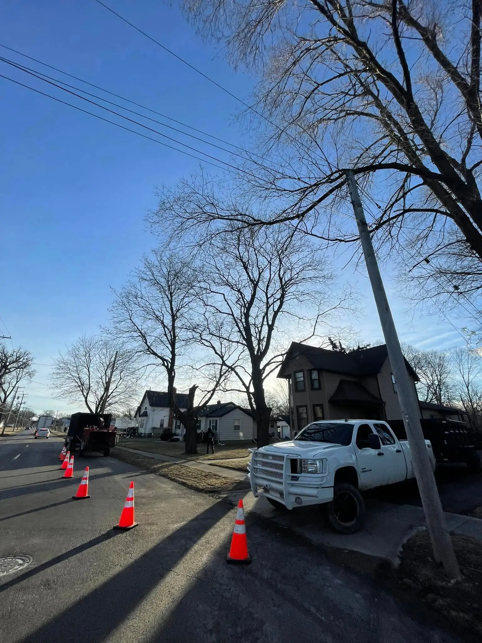 Teodoro Tree Service white pickup truck and dump trailer parked on a residential street with traffic cones during a tree removal job