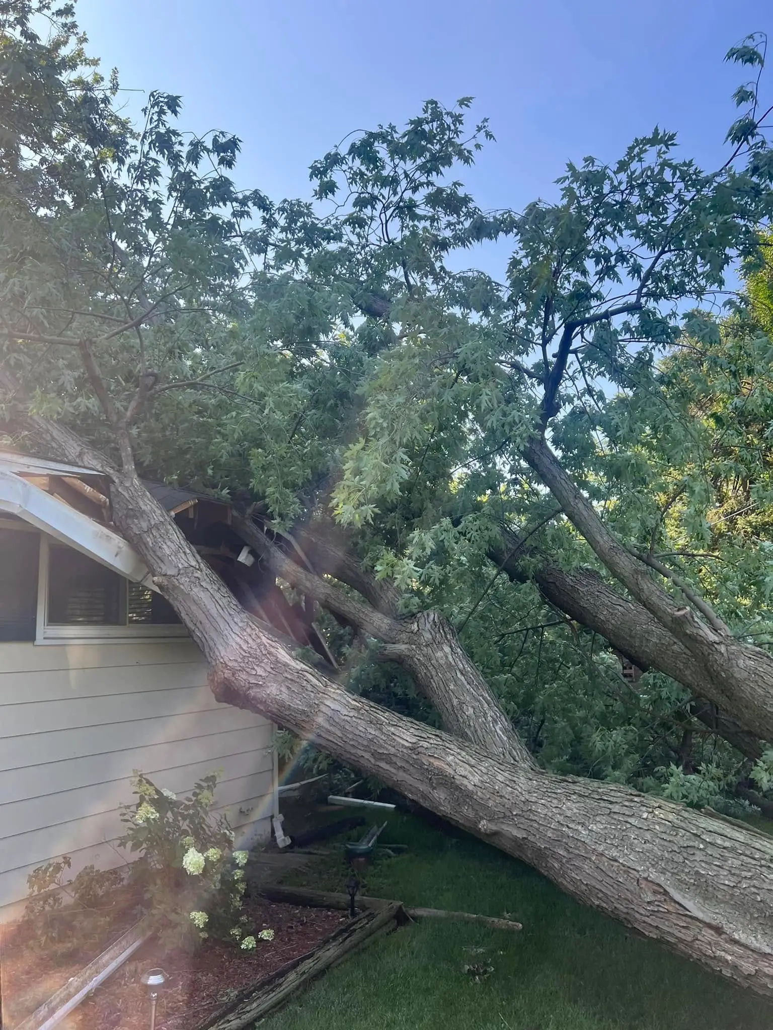 Emergency Storm Damage Cleanup