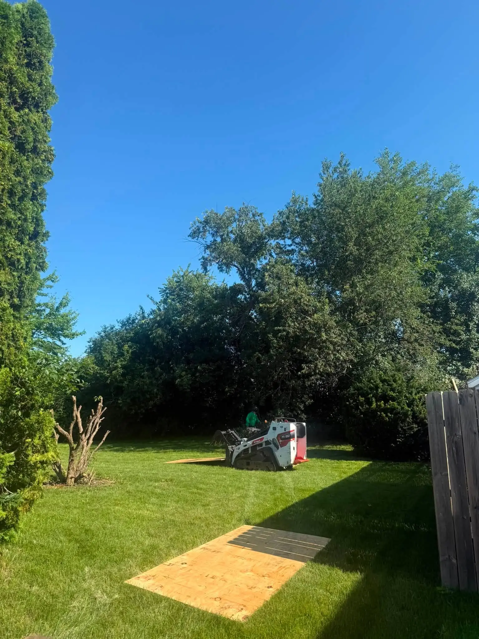 Brush & Shrub Removal