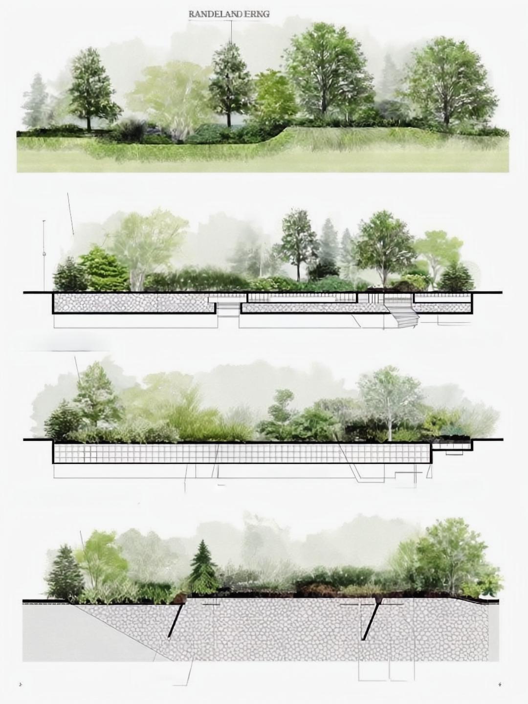 Landscape cross-section elevation drawings showing vegetation and grading details