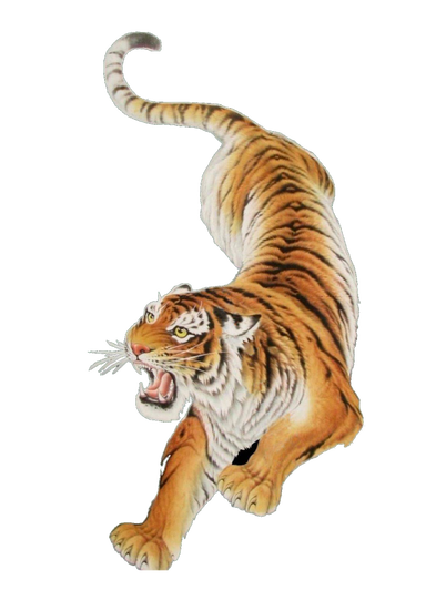 Decorative tiger illustration