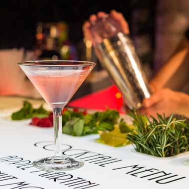 Premium martini cocktail with fresh herbs - craft cocktail service South Florida