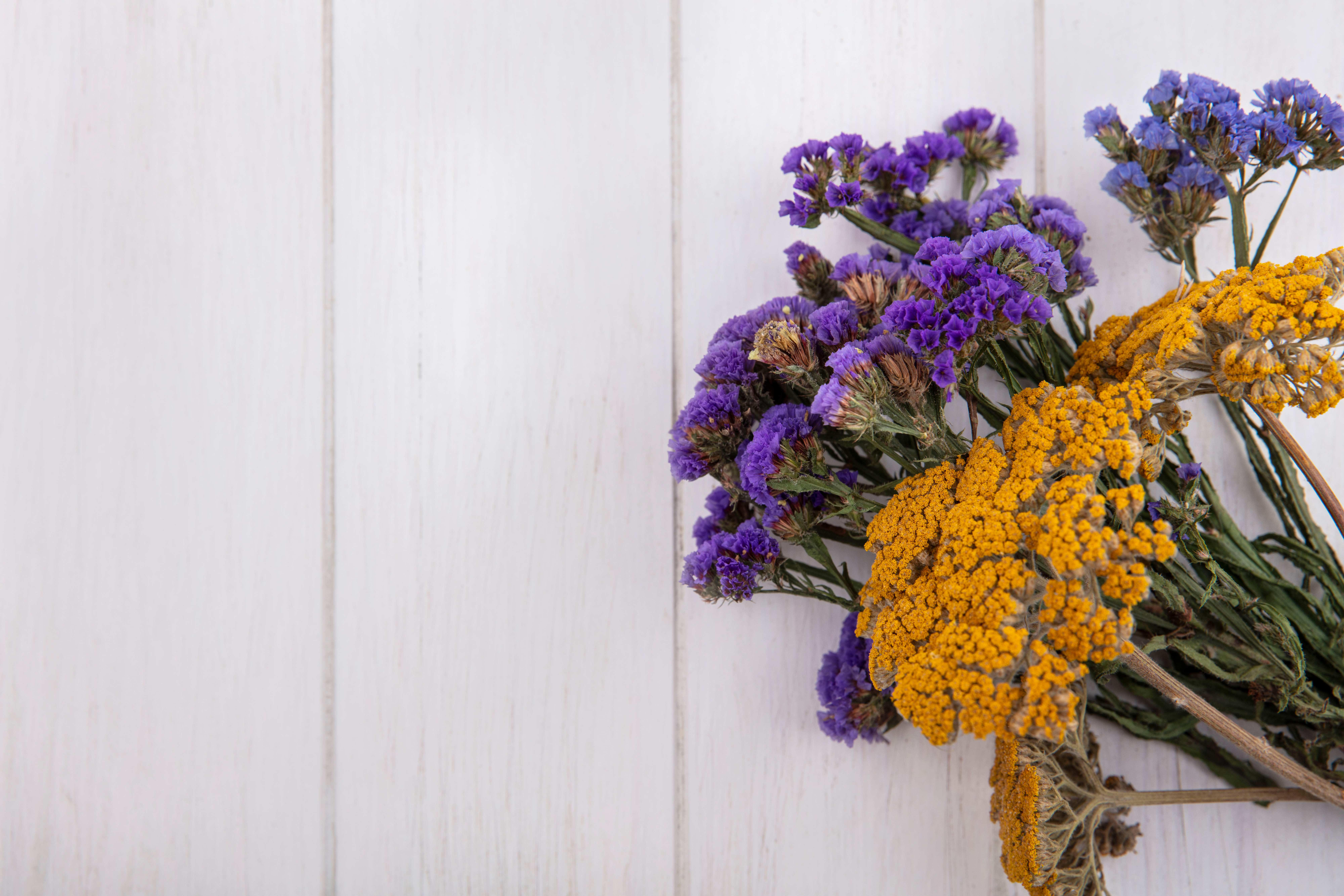 Fleurs therapeutiques