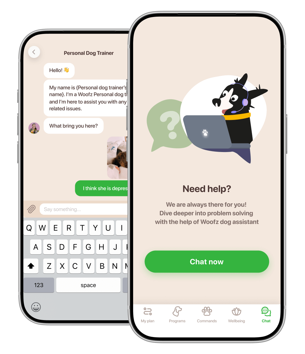 App 4Help com assistente de treino para pets