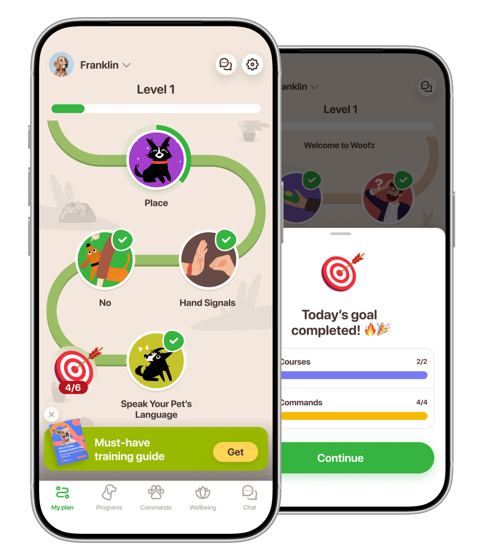 App 4Help com trilhas de treinamento e progresso do pet