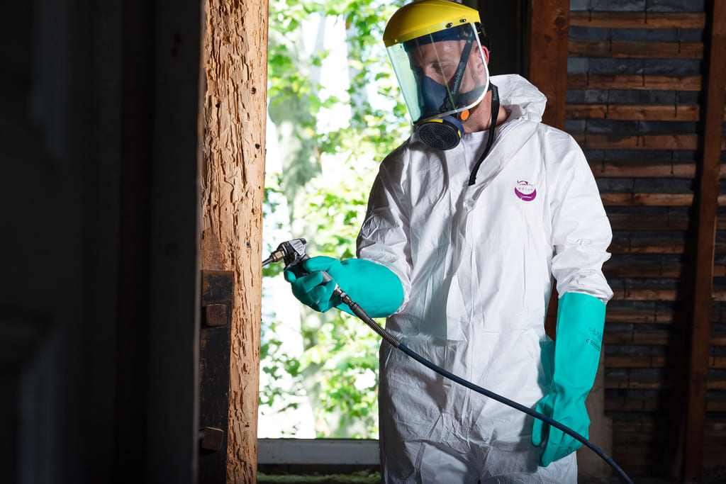 Traitement curatif bois attaque par insectes xylophages - Sarthe