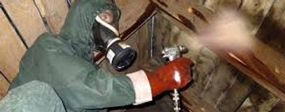 Traitement charpente par pulverisation dans l'Orne 61
