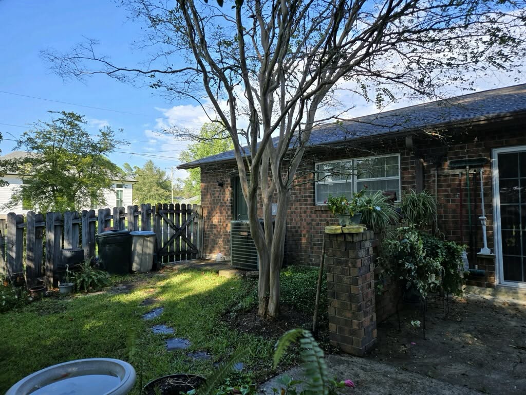 Light Tree Trimming - Before