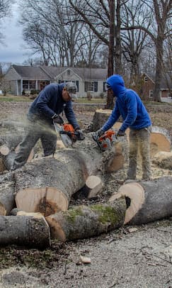Tree removal crew cutting large logs Nashville TN