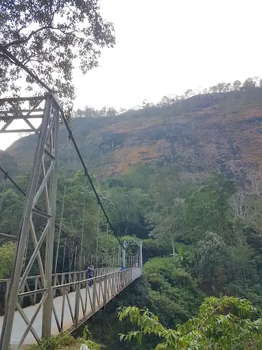Suspension bridge crossing a lush Munnar valley