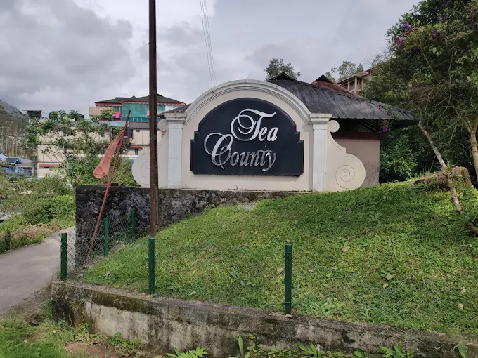 Tea County entrance sign surrounded by green hillside gardens