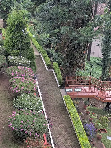 Garden walkway bordered by flowering shrubs and a cottage terrace