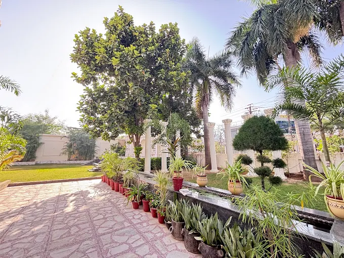 Garden terrace lined with potted plants, palms, and white columns