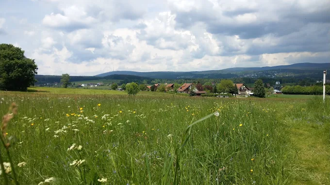 Wiesenlandschaft rund um Mehlmeisel