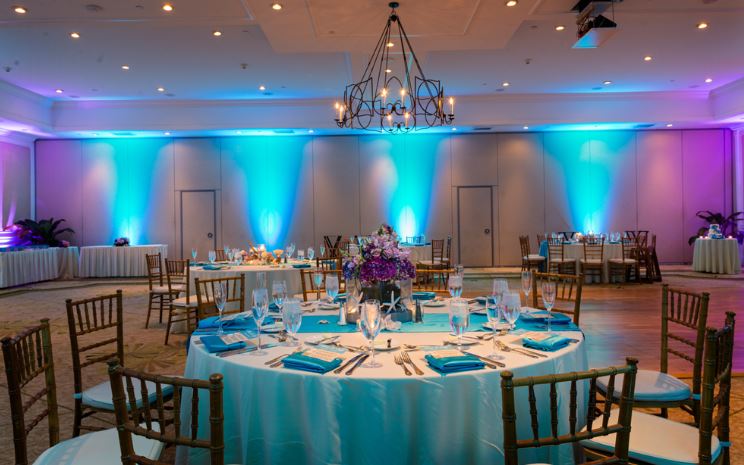 Teal & Purple Glow