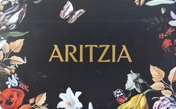 Aritzia gift card reward