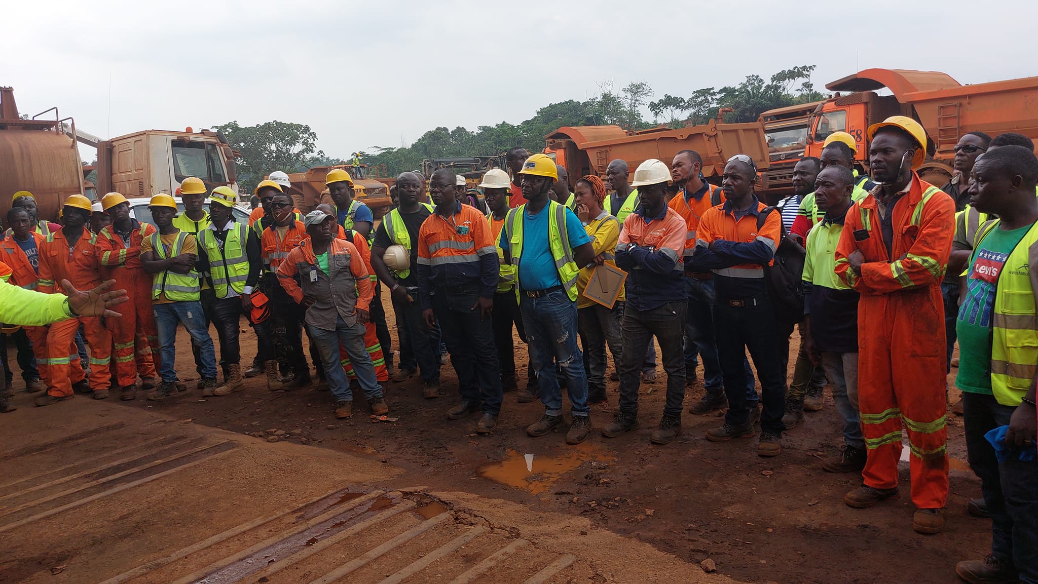 Large group of workers in safety gear