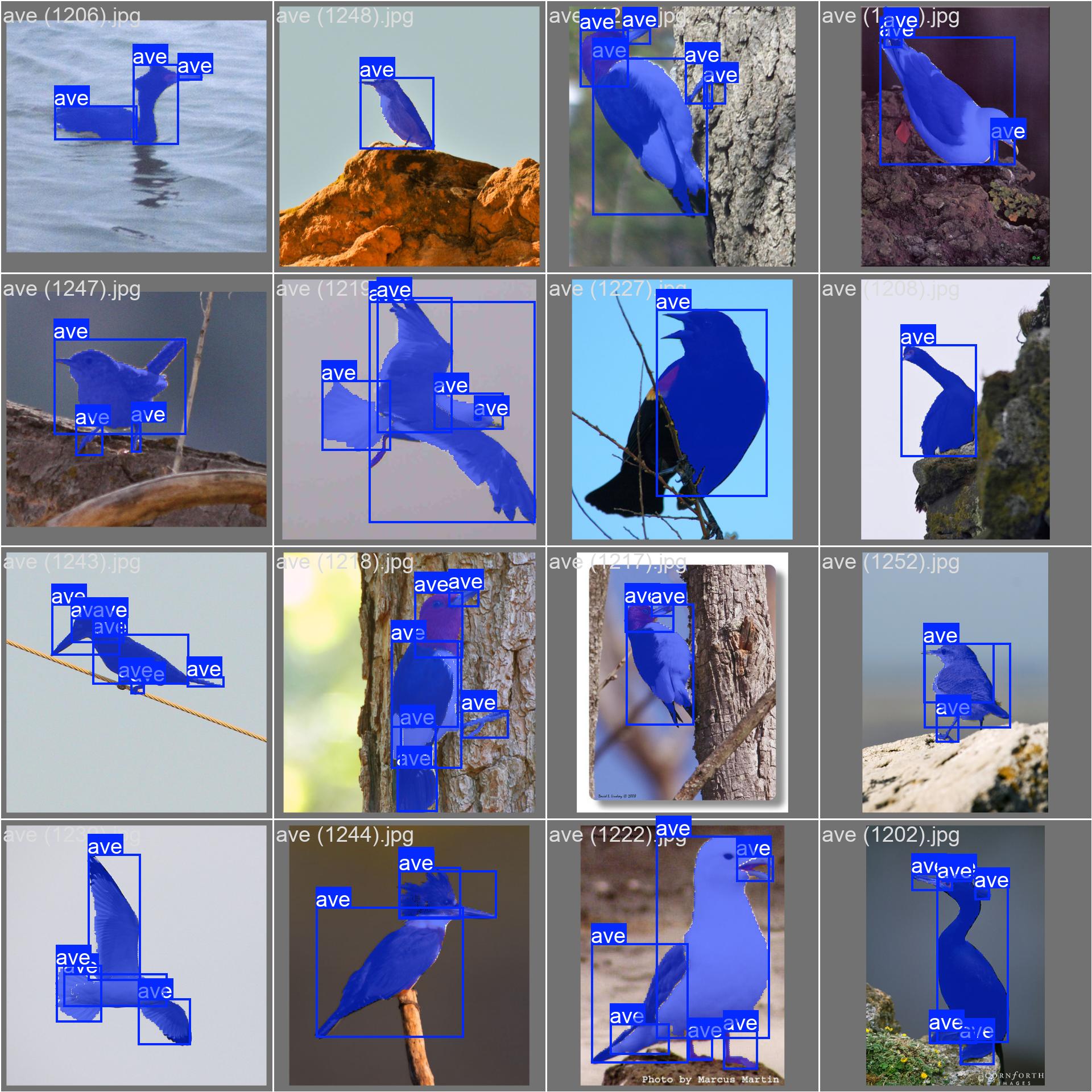 Sistema de detección automática de aves