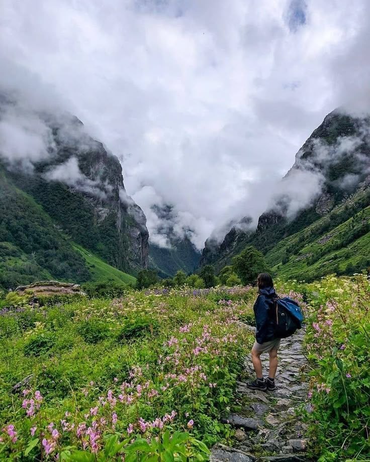 Valley of Flowers