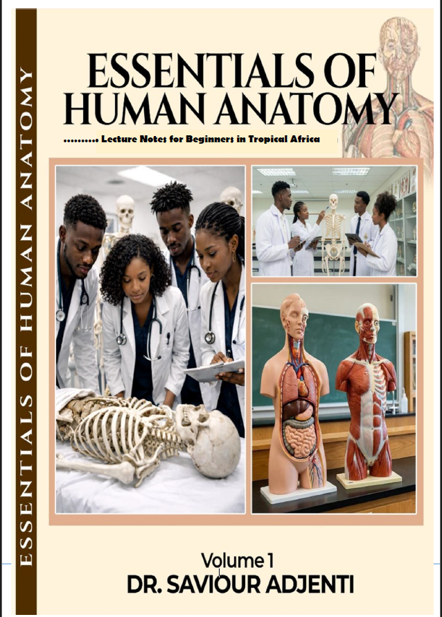 Essentials of Human Anatomy Volume 1 by Dr. Saviour Adjenti
