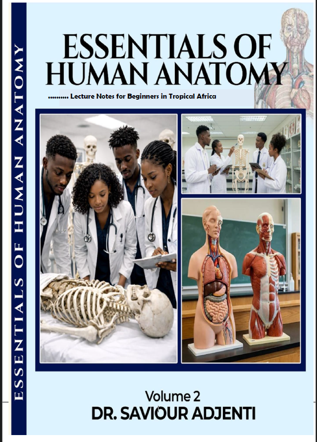 Essentials of Human Anatomy Volume 2 by Dr. Saviour Adjenti
