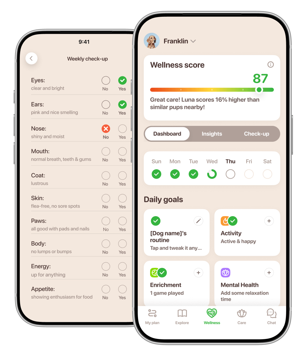 Telas do app 4Help mostrando o painel de bem-estar do pet