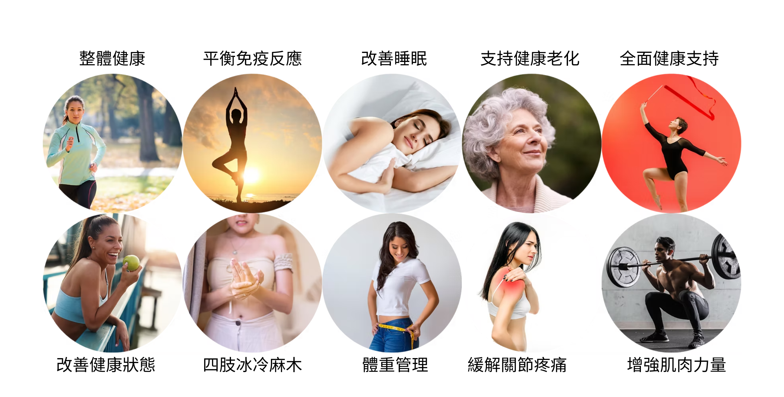 適用人群:整體健康、平衡免疫反應、改善睡眠、支持健康老化、緩解關節疼痛、增強肌肉力量等