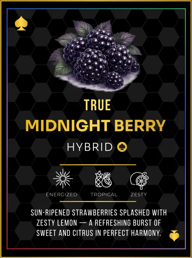 Midnight Berry candies