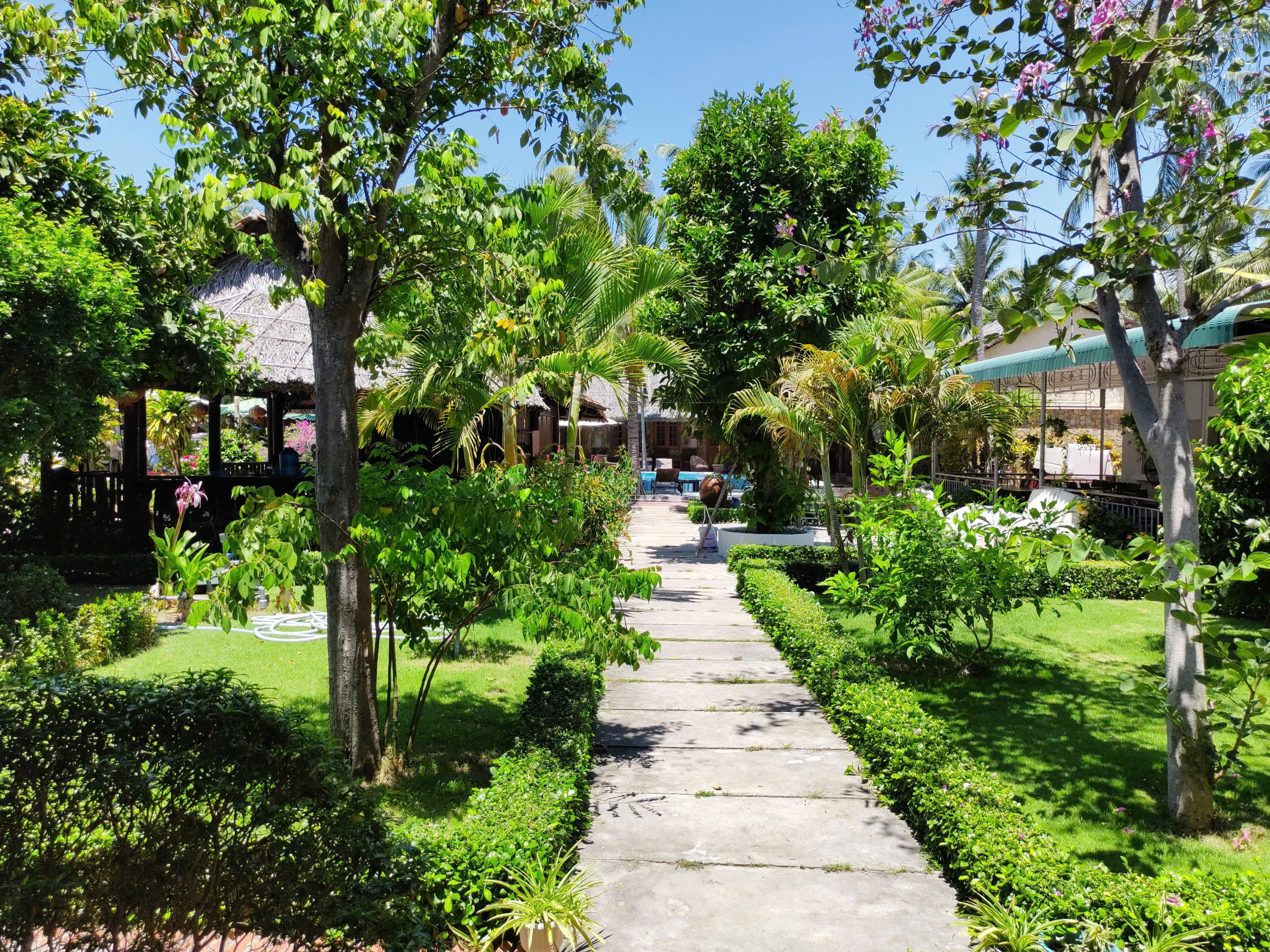 Hotel Garden