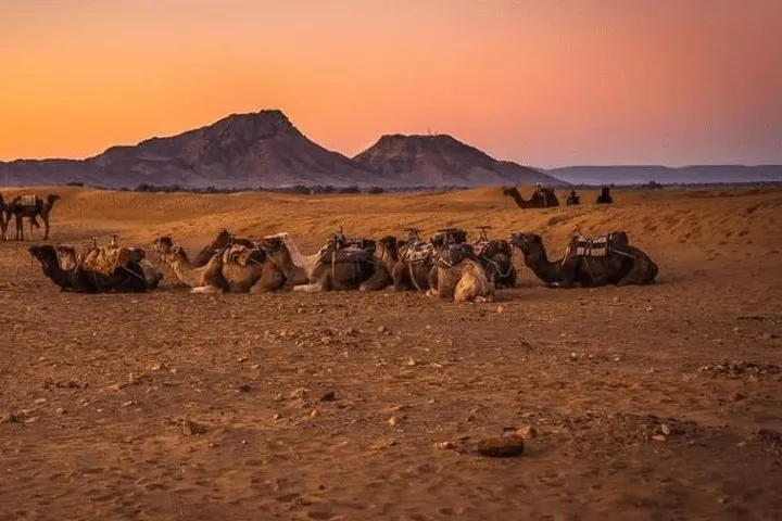 Zagora Desert 2-Day Tour