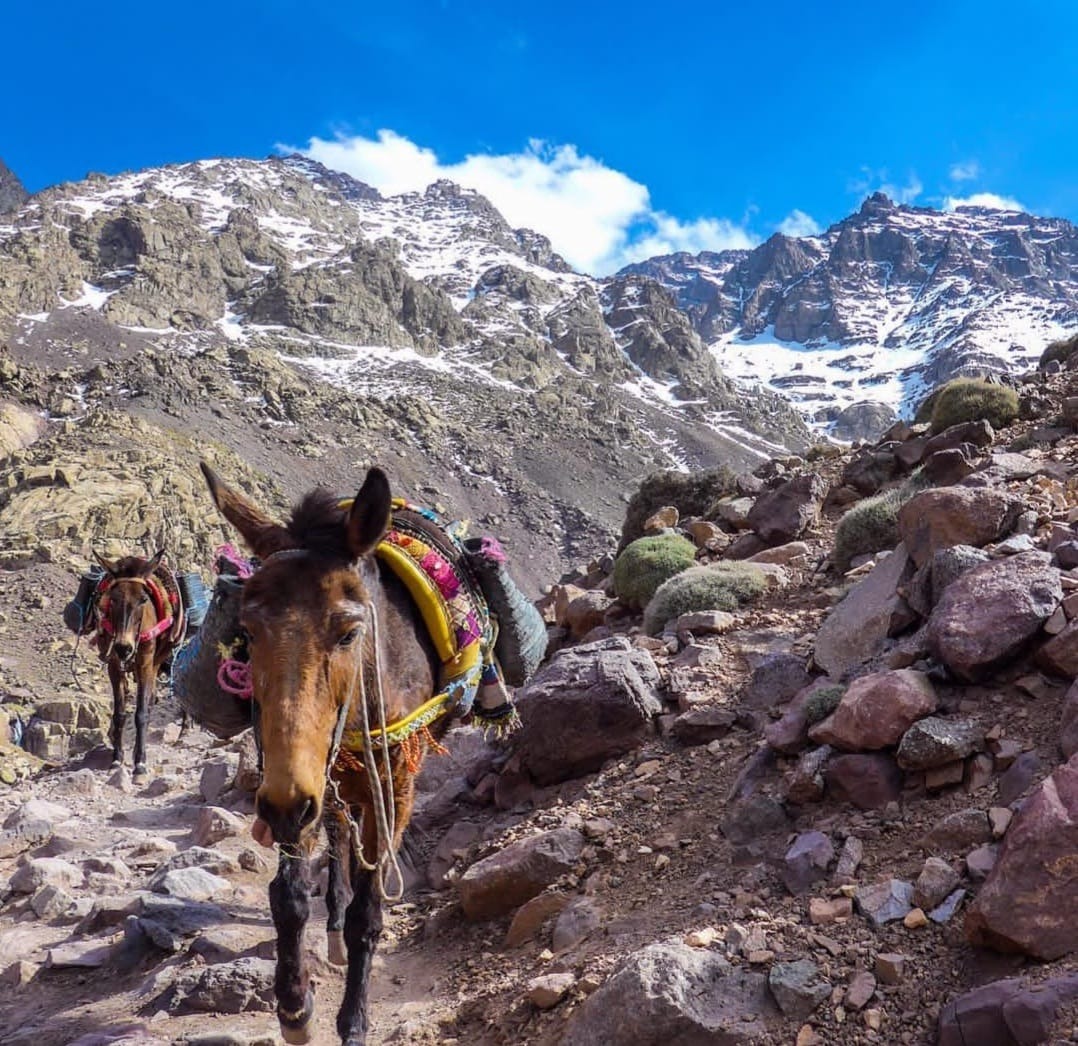 Atlas Mountains & Imlil Day Trip - 4