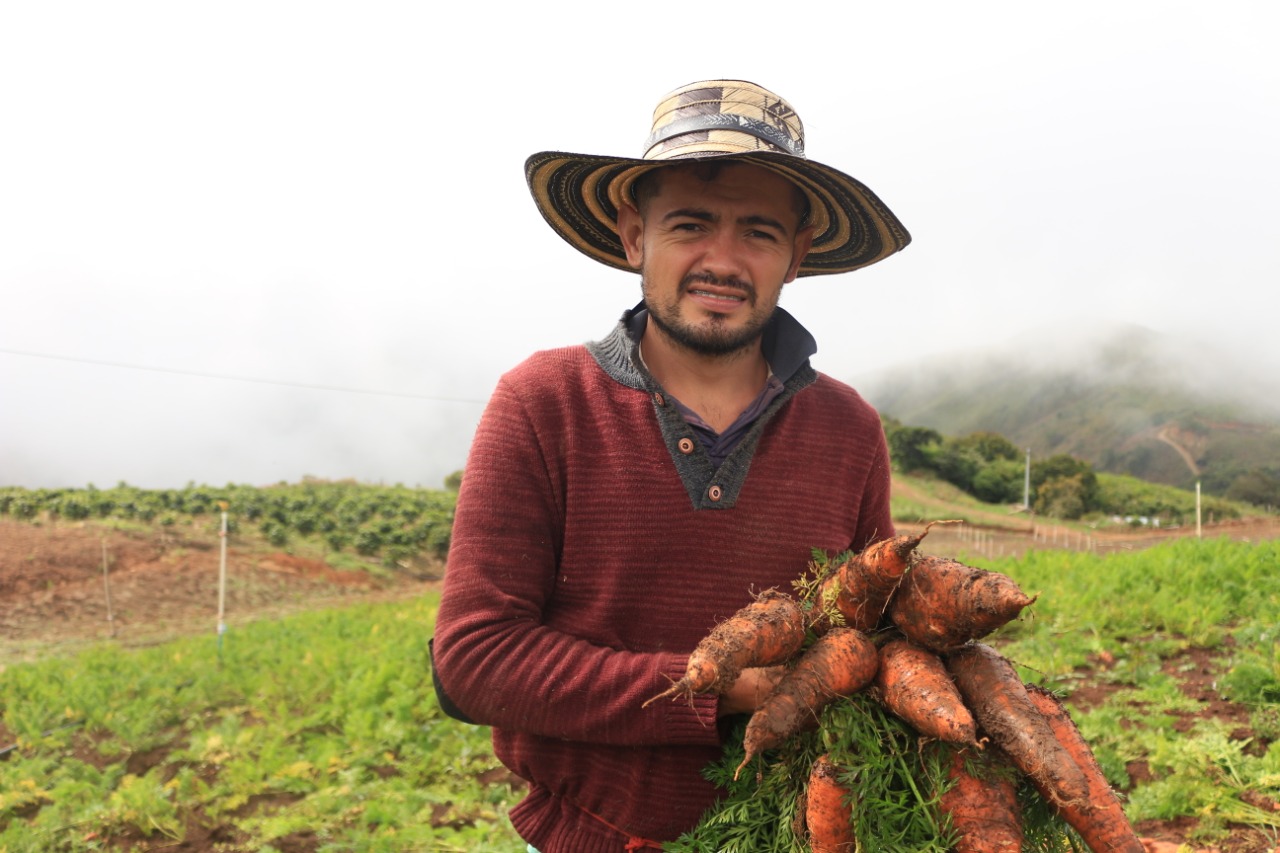 Entrevista con agricultor de zanahorias